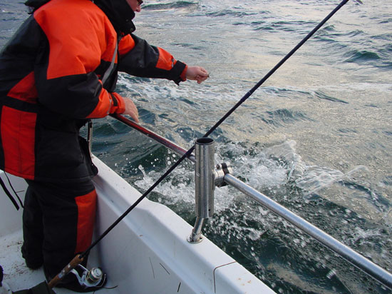 Zweiter gefangener Hecht, noch im Wasser, Landung ins Boot mit geziehltem Griff am Kopf des Hechtes