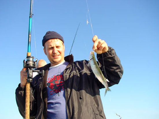 Angler Jan mit einem schönen Hering